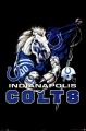 Colts horse.jpg